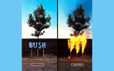 BUSH: SWALLOWED Single Album (1996)