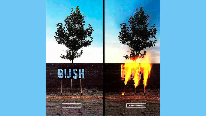 BUSH: SWALLOWED Single Album (1996)