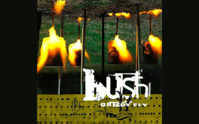 BUSH: GREEDY FLY Single Album (1997)