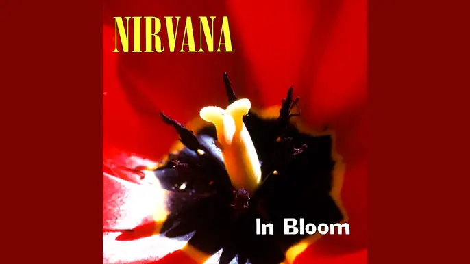 洋楽 NIRVANA1989 In The Bloom 1990 TOUR CD Nirvana – In The Bloom 1990 Tour – CD (Purple, Unofficial