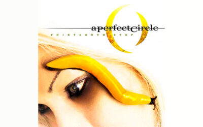 A PERFECT CIRCLE: THIRTEENTH STEP Second Studio Album (2003)