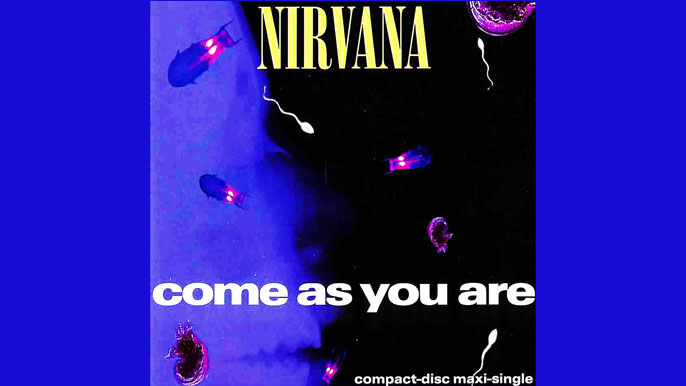 NIRVANA: COME AS YOU ARE Single Album (1992)