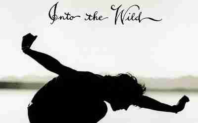 EDDIE VEDDER: INTO THE WILD (Soundtrack) Album (2007) Vinyl