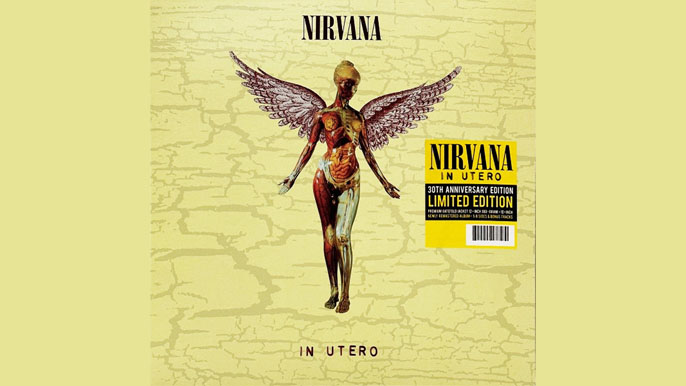 NIRVANA: IN UTERO 30th Anniversary Box Set (2023)