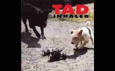 TAD: INHALER Third Studio Album (1993)