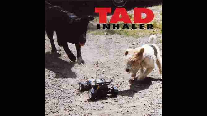 TAD: INHALER Third Studio Album (1993)