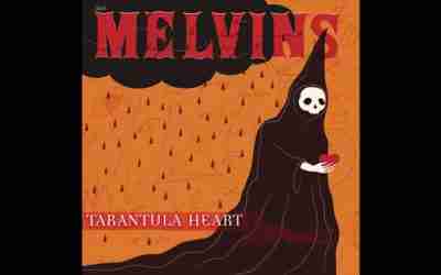 THE MELVINS: TARANTULA HEART LP Album (2024)