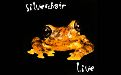 SILVERCHAIR: FROGSTOMP Live At The Cabaret Metro  Album (1995)