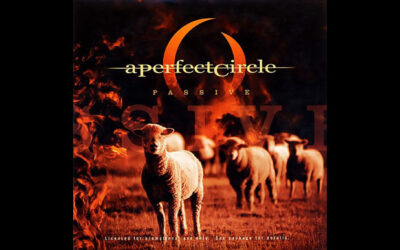 A PERFECT CIRCLE: PASSIVE Single Album (2005)