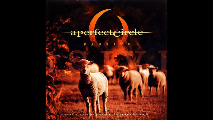 A PERFECT CIRCLE: PASSIVE Single Album (2005)