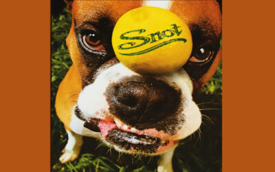 SNOT: GET SOME Debut Studio Album (1997)