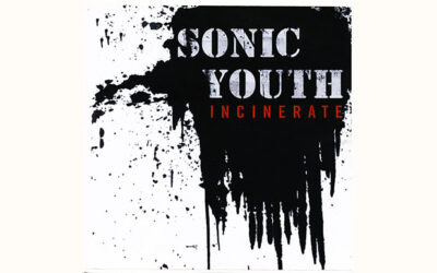 SONIC YOUTH: INCINERATE Single Album (2006)