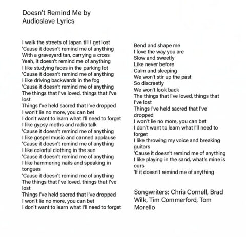 AUDIOSLAVE: DOESN'T REMIND ME Single Album (2005)