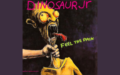 DINOSAUR JR. FEEL THE PAIN Single Album (1994)