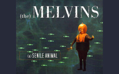 THE MELVINS: (A) SENILE ANIMAL Fifteenth Studio Album (2006)