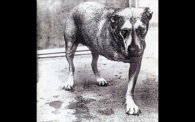 ALICE IN CHAINS: ALICE IN CHAINS: Third Studio Album (1995) LP