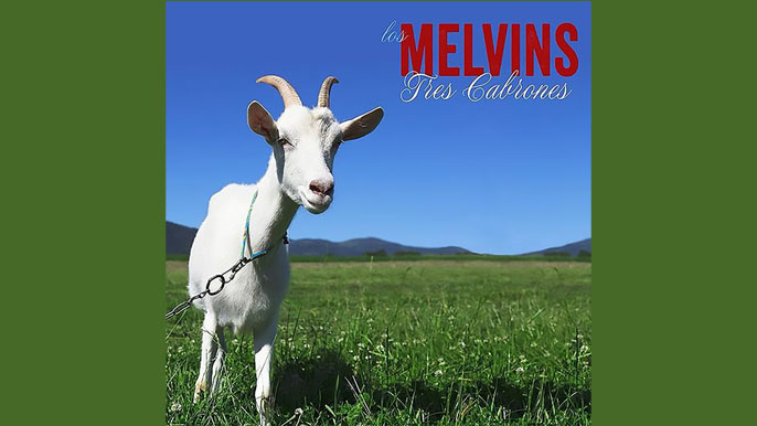 THE MELVINS: TRES CABRONES Nineteenth Studio Album (2013)