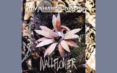 MY SISTER’S MACHINE: WALLFLOWERS Second Studio Album (1993)