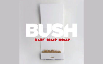 BUSH: BABY COME HOME Single Album (2012)