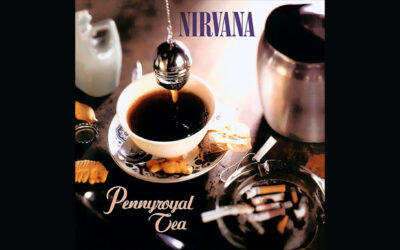 NIRVANA: PENNYROYAL TEA Single Album (2014) LP